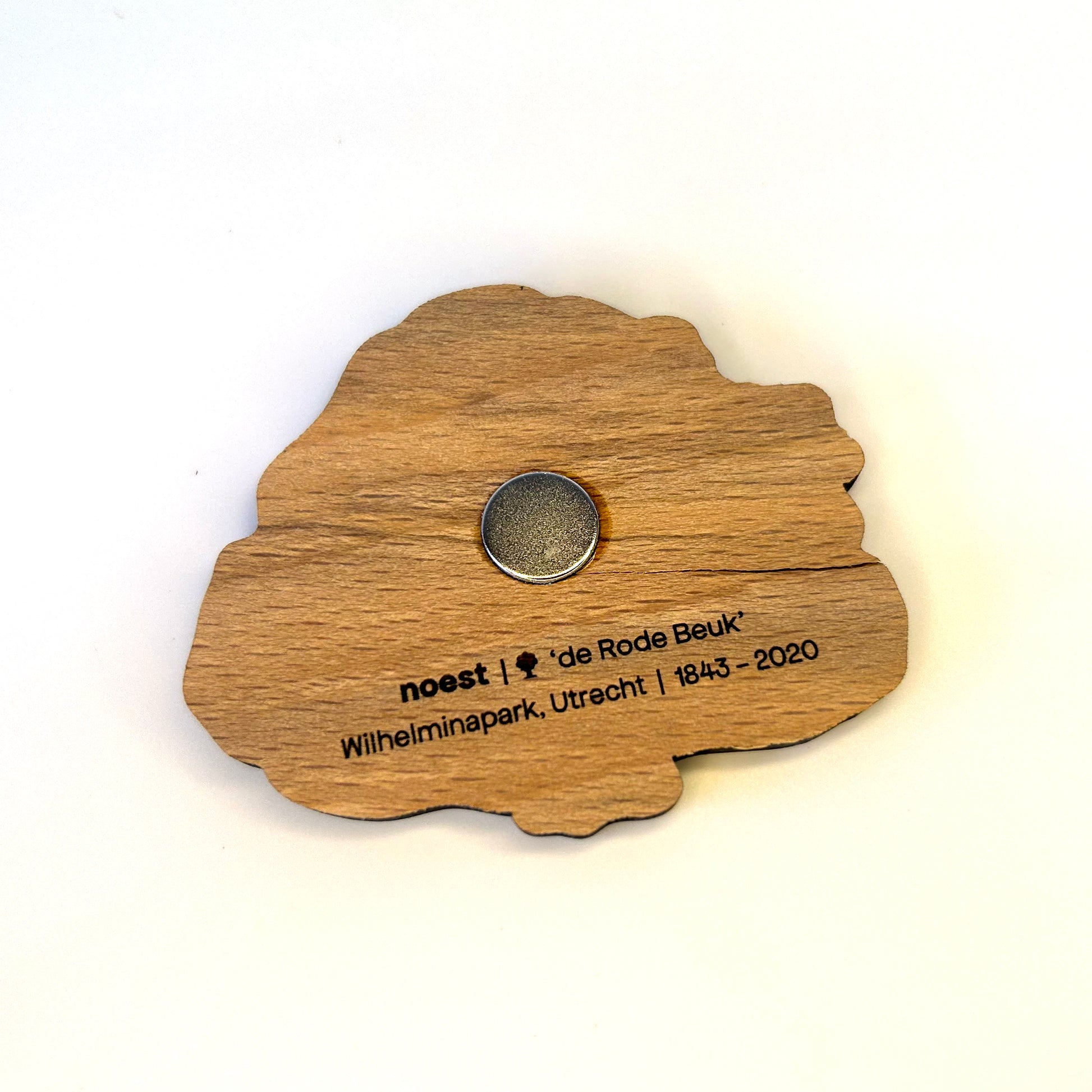 Houten koelkastmagneet van Rode Beuk (Wilhelminapark Utrecht), handgemaakt circulair.