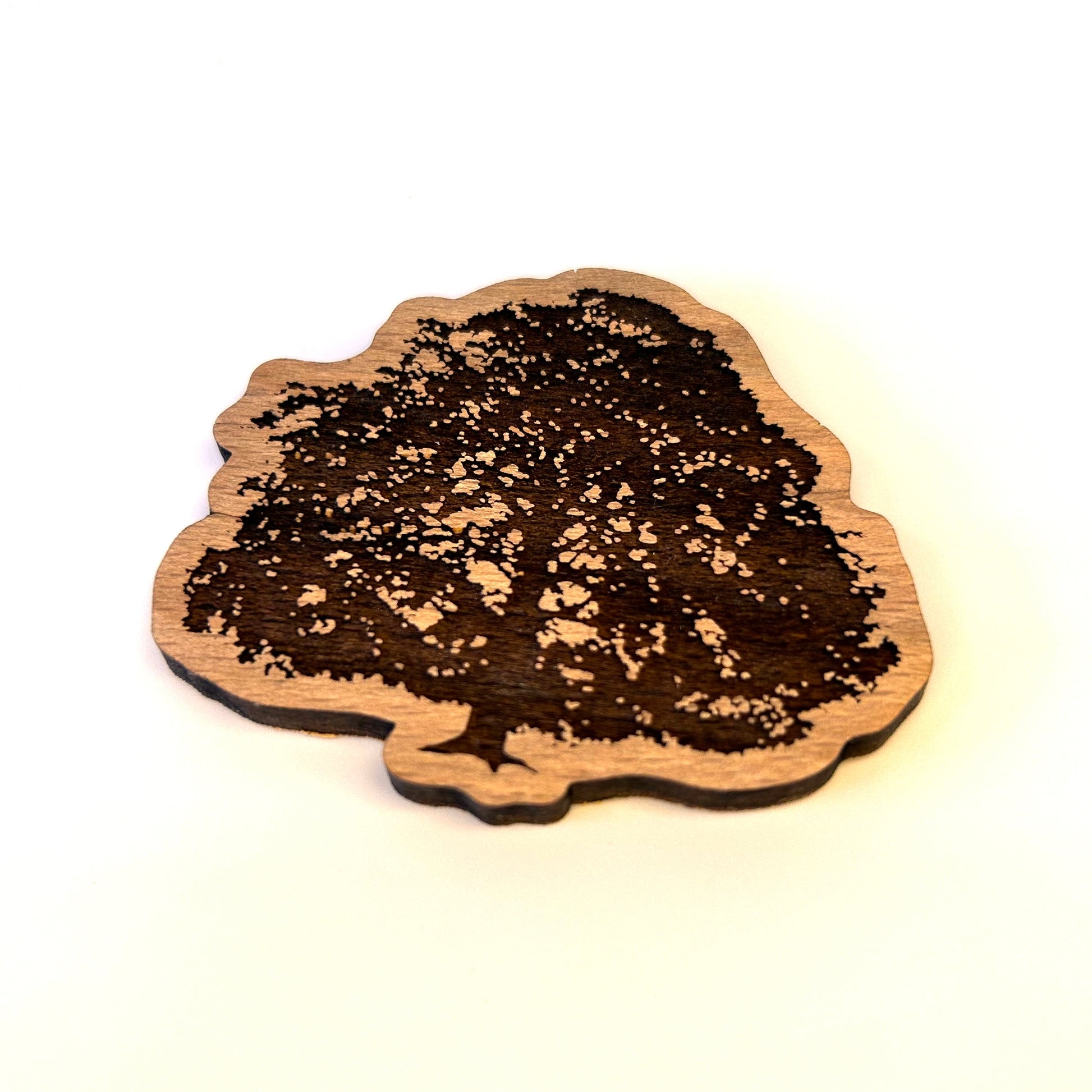 Houten koelkastmagneet van Rode Beuk (Wilhelminapark Utrecht), handgemaakt circulair.