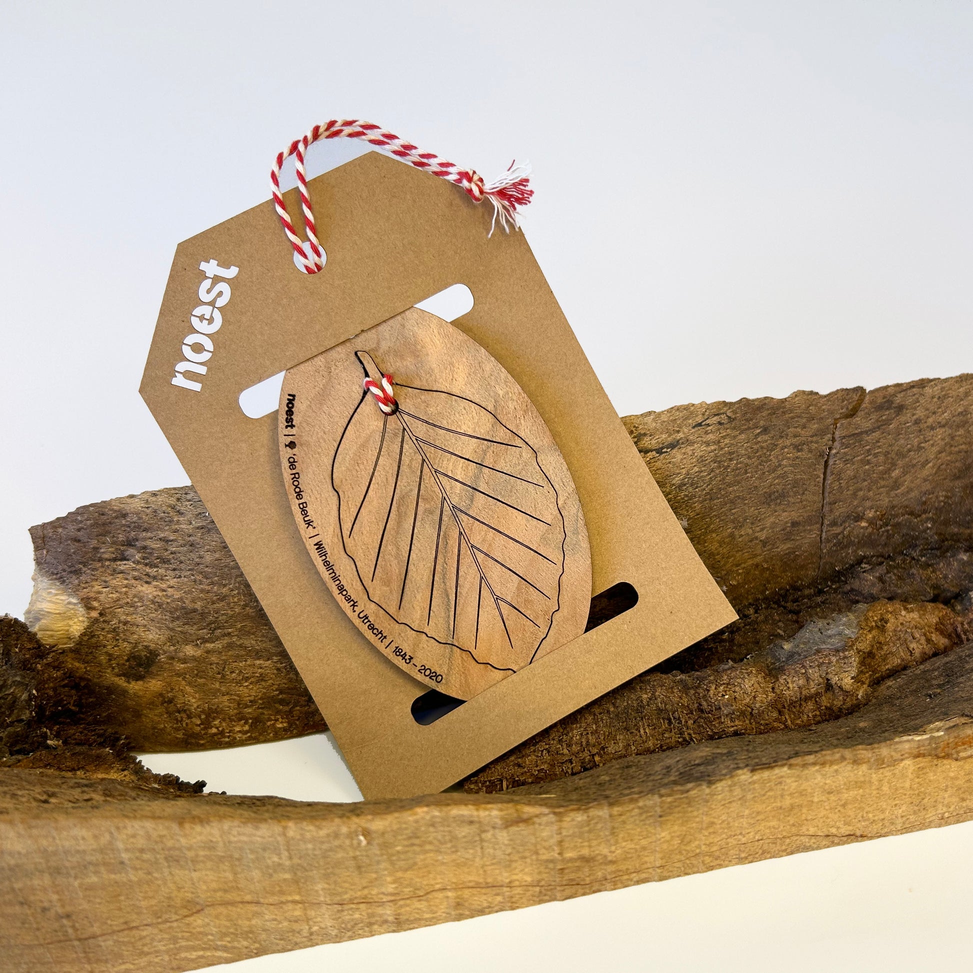 Houten ornamentenset Rode Beuk Wilhelminapark (Utrecht), decoratieve duurzame objecten.