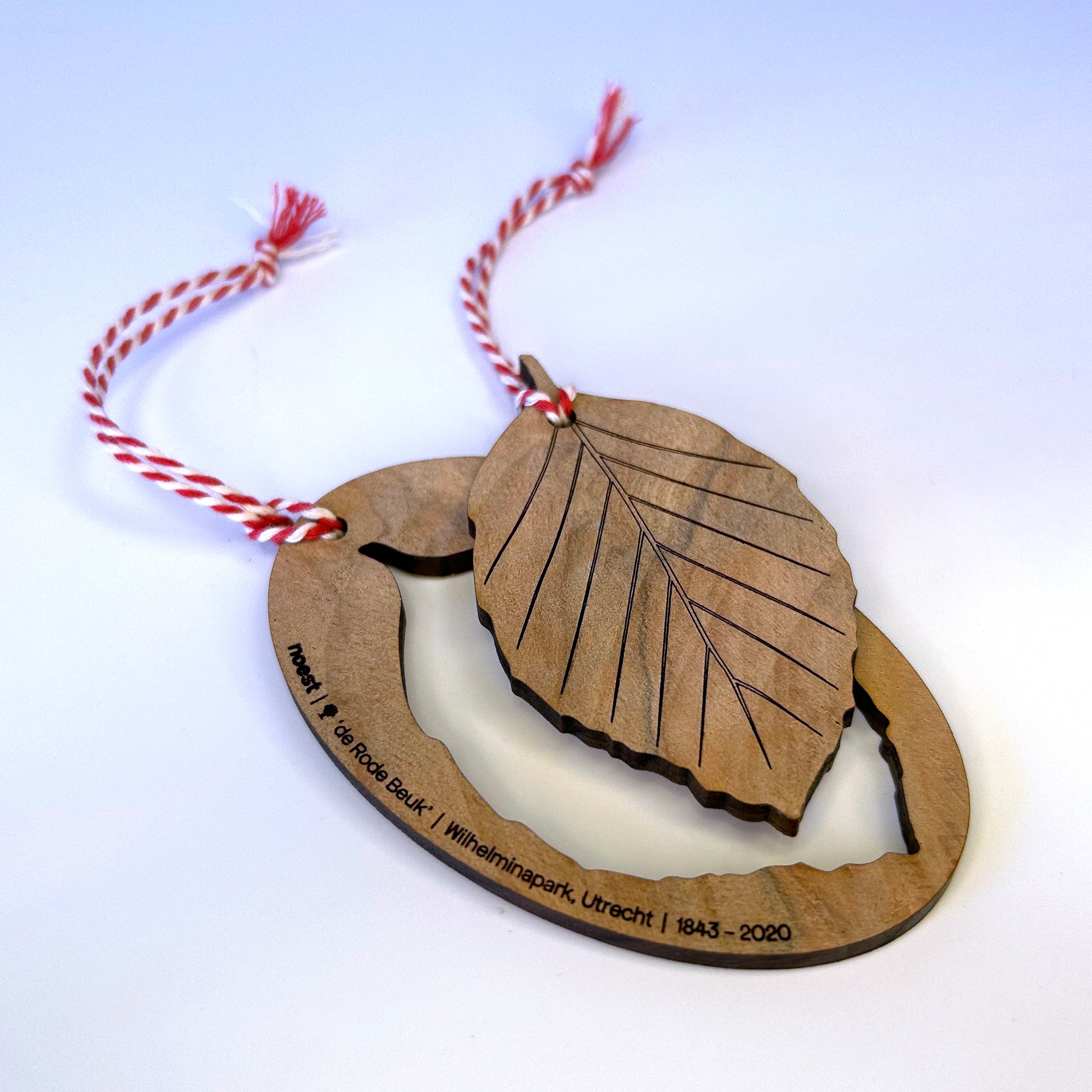 Houten ornamentenset Rode Beuk Wilhelminapark (Utrecht), decoratieve duurzame objecten.