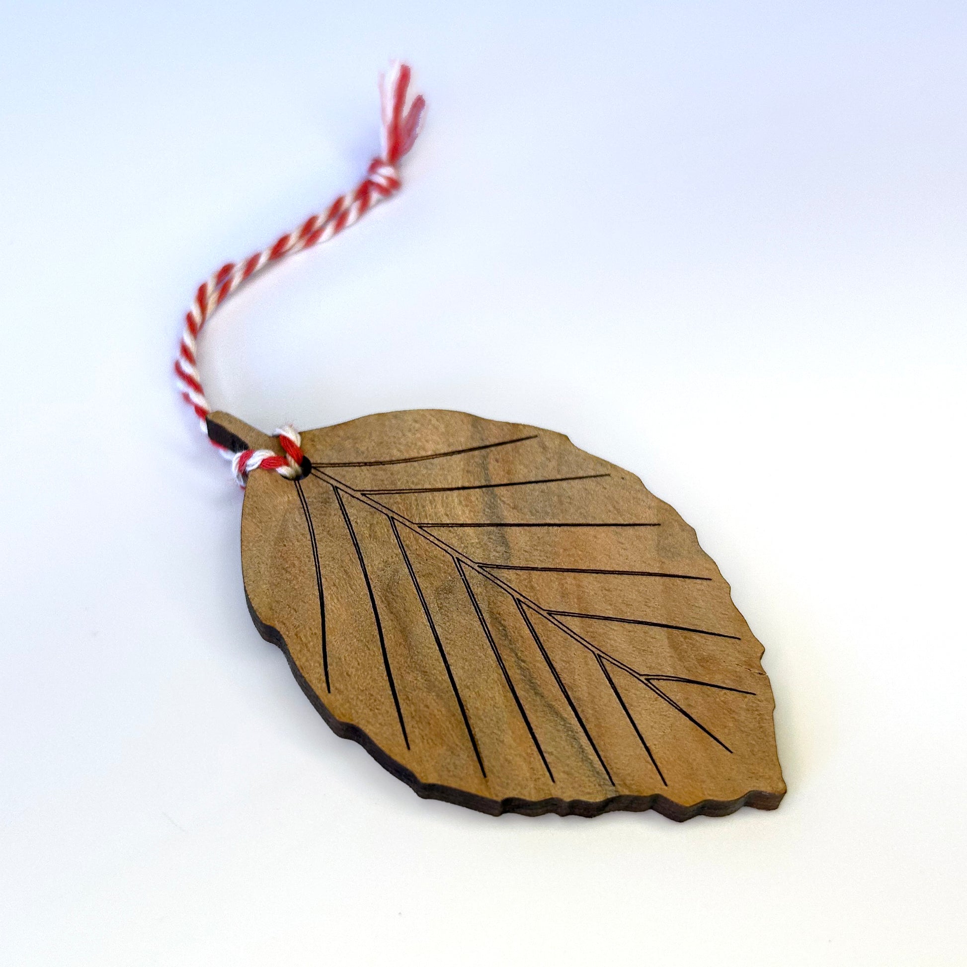 Houten ornamentenset Rode Beuk Wilhelminapark (Utrecht), decoratieve duurzame objecten.