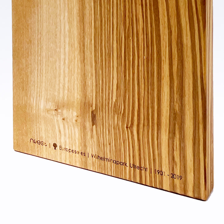 Serving board Domtoren