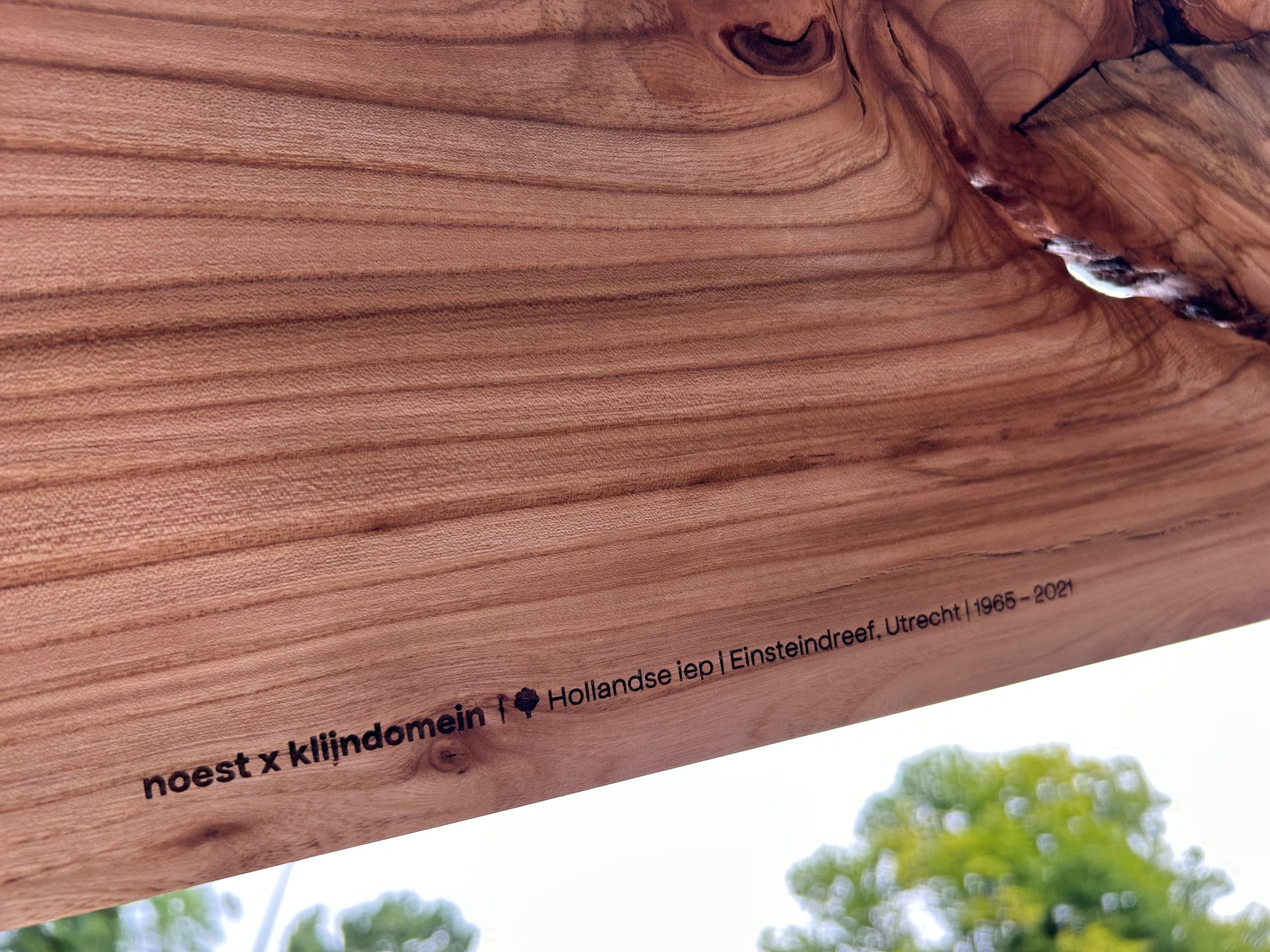 Wandplank van Utrechts stadshout, duurzaam en stijlvol design met lokaal karakter.